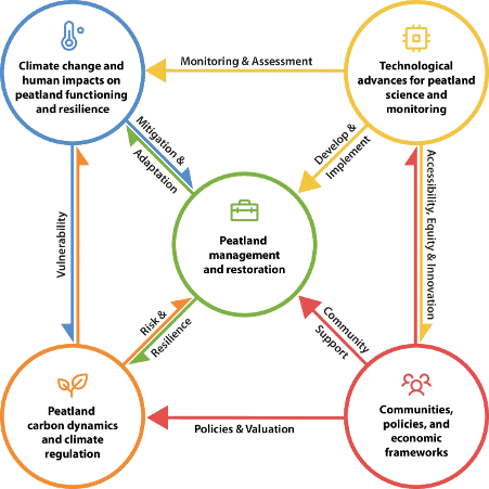 Figure from Milner et al. 2026 grouping the 50 peatland research priorities by theme, including carbon, restoration and governance
