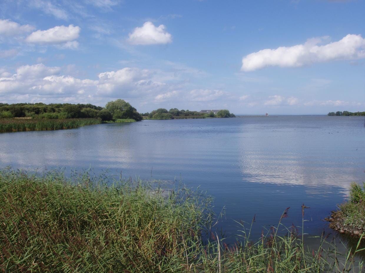 Lough Neagh Research Archive Goes Digital