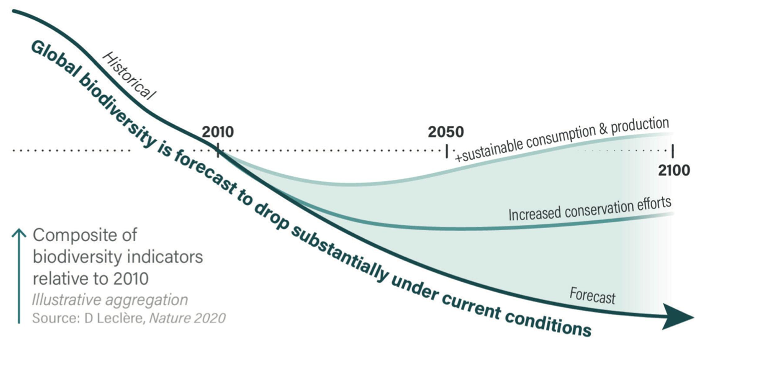 Visualisation of forecasted global biodiversity loss
