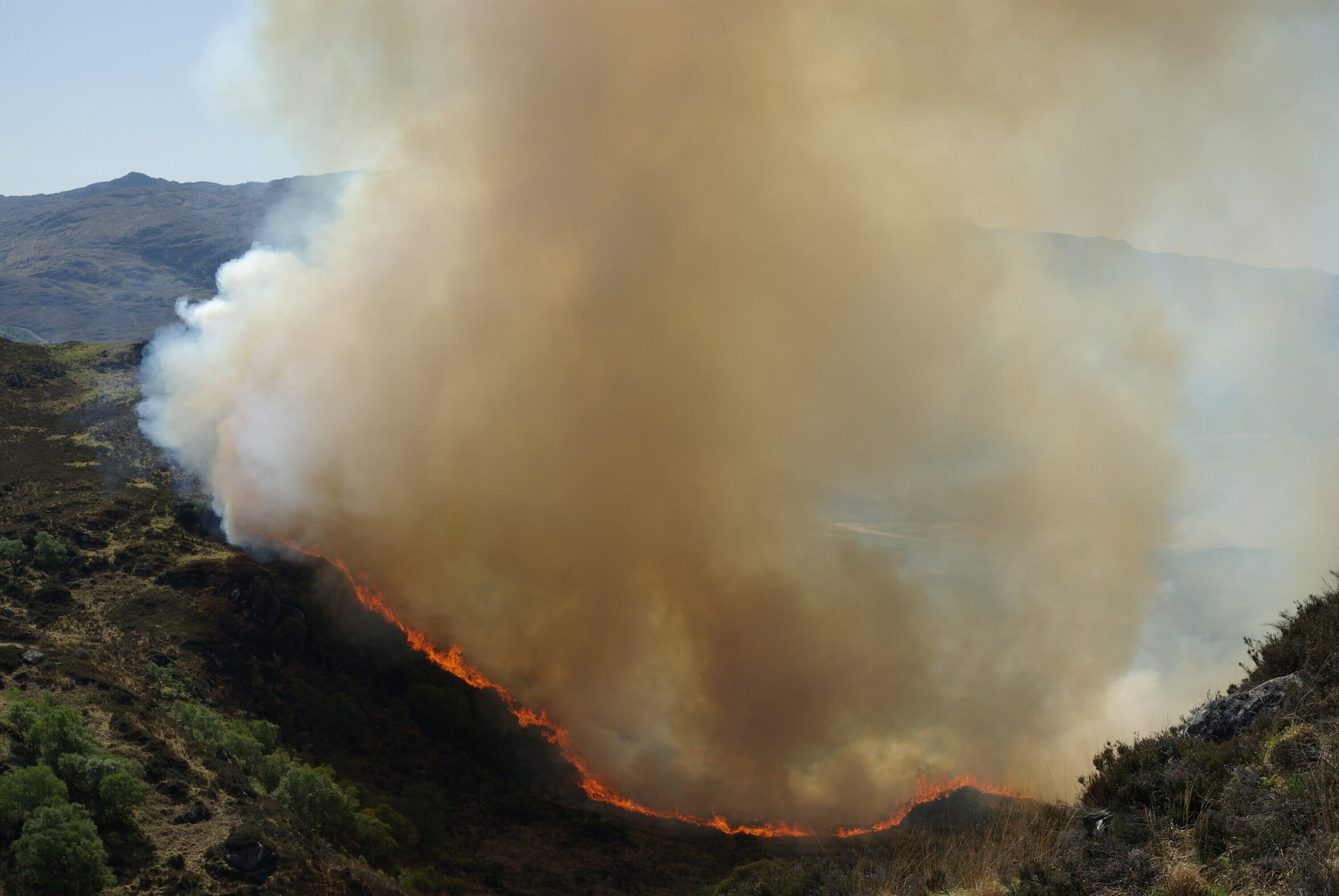 400,000 years of practice does not mean that Ireland has learned how to manage fire