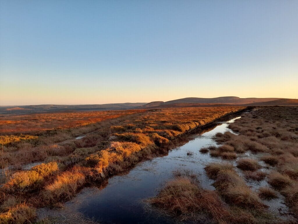 The 50 questions shaping the next decade of peatland science 