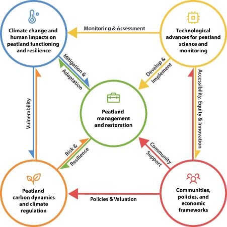Figure from Milner et al. 2026 grouping the 50 peatland research priorities by theme, including carbon, restoration and governance
