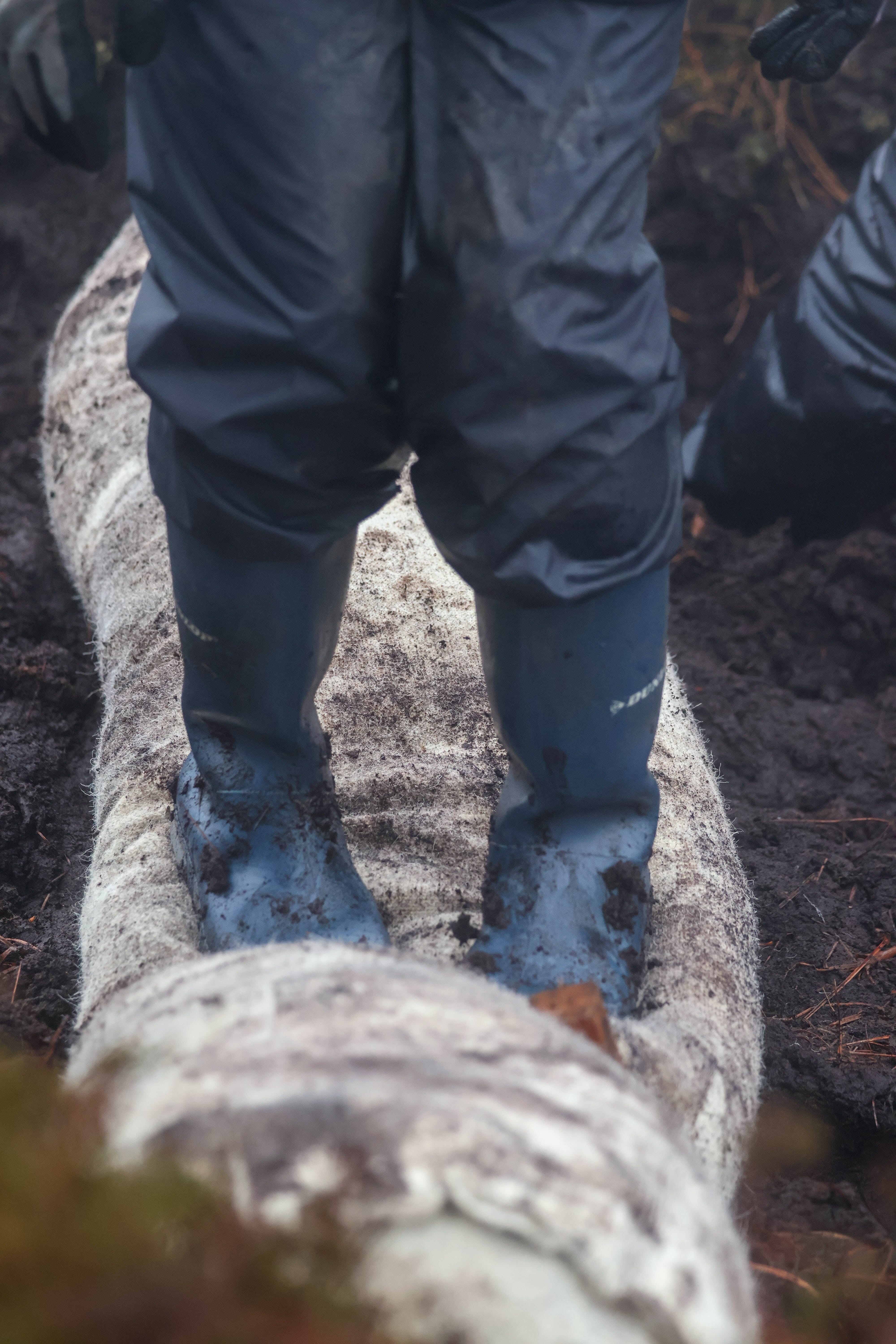 Can Wool Help Restore Our Peatlands? Putting a Local Material to the Test in the Antrim Hills